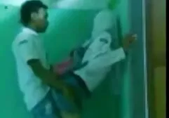 Con chó cái nhảy múa và âu yếm mình trước anh gai sec gương